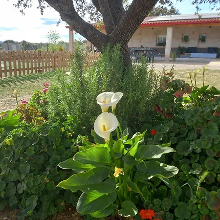 La Hoja El Valle Casa rural *